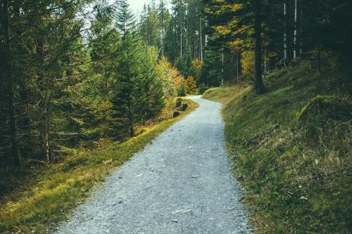 Walking trail